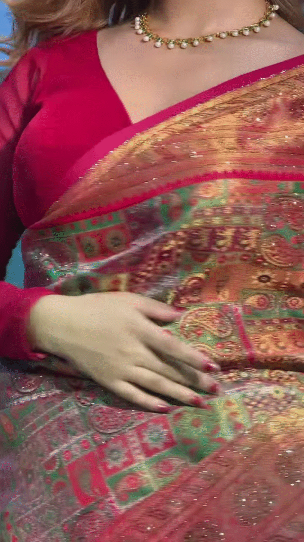 Elegant Floral Printed Zari Pashmina Saree for Timeless Indian Elegance - Image 2